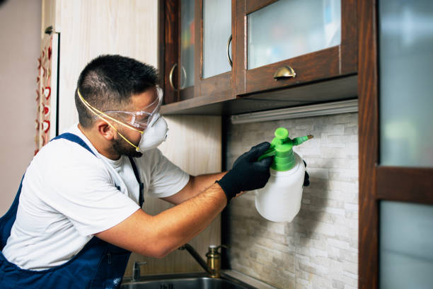 Best Exterminator Services  in Sardinia, OH