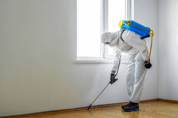 Best Pest Removal Services  in Sardinia, OH